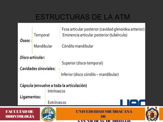 UNIVERSIDAD MICHOACANA 
DE 
SAN NICOLÁS DE HIDALGO 
FACULTAD DE 
ODONTOLOGÍA 
ESTRUCTURAS DE LA ATM 
 