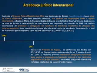 Adoção do Protocolo de Nagoya, na Conferência das Partes, em
29/10/10 em Nagoya, Japão, após negociação por 6 anos no âmbito
da CDB. O Protocolo procurou estabelecer obrigações específicas
para auxiliar a adequação da legislação nacional e das exigências
regulatórias da Parte Provedora, bem como obrigações contratuais
refletidas nos termos de consentimento mútuo.
2002
2011
Instituído o Grupo de Países Megadiversos Afins pela declaração de Cancún (www.lmmc.nic.in) para atuar
de forma coordenada, adotando posições conjuntas, em especial nas negociações sobre o regime
internacional. Adoção do Plano de Implementação da Cúpula Mundial sobre Desenvolvimento Sustentável,
no qual se incluiu a determinação de que deveria ser negociado, no contexto da CDB, um regime
internacional de promoção e salvaguarda da repartição de benefícios resultantes da utilização dos
recursos genéticos: único mandato negociador adotado pelos chefes de estado em Johanesburgo, o qual
foi reafirmado pela Assembleia Geral da ONU (Resolução 57/260 de 20/12/2002).
Arcabouço jurídico internacional
 