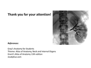 Thank you for your attention!
References:
Gray’s Anatomy for Students
Thieme: Atlas of Anatomy, Neck and Internal Organs
Grant’s Atlas of Anatomy 13th edition
studyblue.com
 
