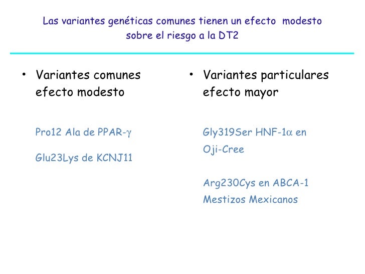 Lipotoxicidad por colesterol: un mecanismo relevante en la génesis de ...
