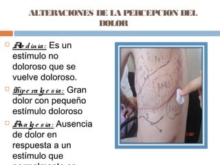 ALTERACIONES DE LA PERCEPCION DEL
DOLOR
 Alo dinia: Es un
estímulo no
doloroso que se
vuelve doloroso.
 Hipe ralg e sia: Gran
dolor con pequeño
estímulo doloroso
 Analg e sia: Ausencia
de dolor en
respuesta a un
estímulo que
 