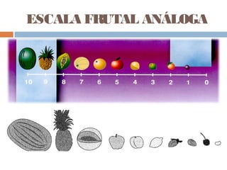 ESCALA FRUTAL ANÁLOGA
 