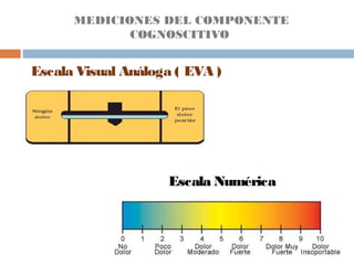 MEDICIONES DEL COMPONENTE
COGNOSCITIVO
Escala Visual Análoga ( EVA )
Escala Numérica
 