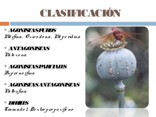 CLASIFICACIÓN
 AGONISTASPUROS
Mo rfina, O xico do na, Me pe ridina
 ANTAGONISTAS
Nalo xo na
 AGONISTASPARCIALES
Bupre no rfina
 AGONISTASANTAGONISTAS
Nalbufina
 DEBILES
Tram ado l, De xtro pro po xife no
 