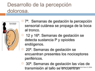 Desarrollo de la percepción
dolorosa.
 7ª. Semanas de gestación la percepción
sensorial cutánea se propaga de la boca
al tronco.
 12 y 16ª. Semanas de gestación se
detecta sustancia P y opioides
endógenos.
 20ª. Semanas de gestación se
encuentran presentes los nociceptores
periféricos.
 30ª. Semanas de gestación las vías de
transmisión al tallo se encuentranPediatric. Clinics North America Vol.4 Num.3. 2009
 