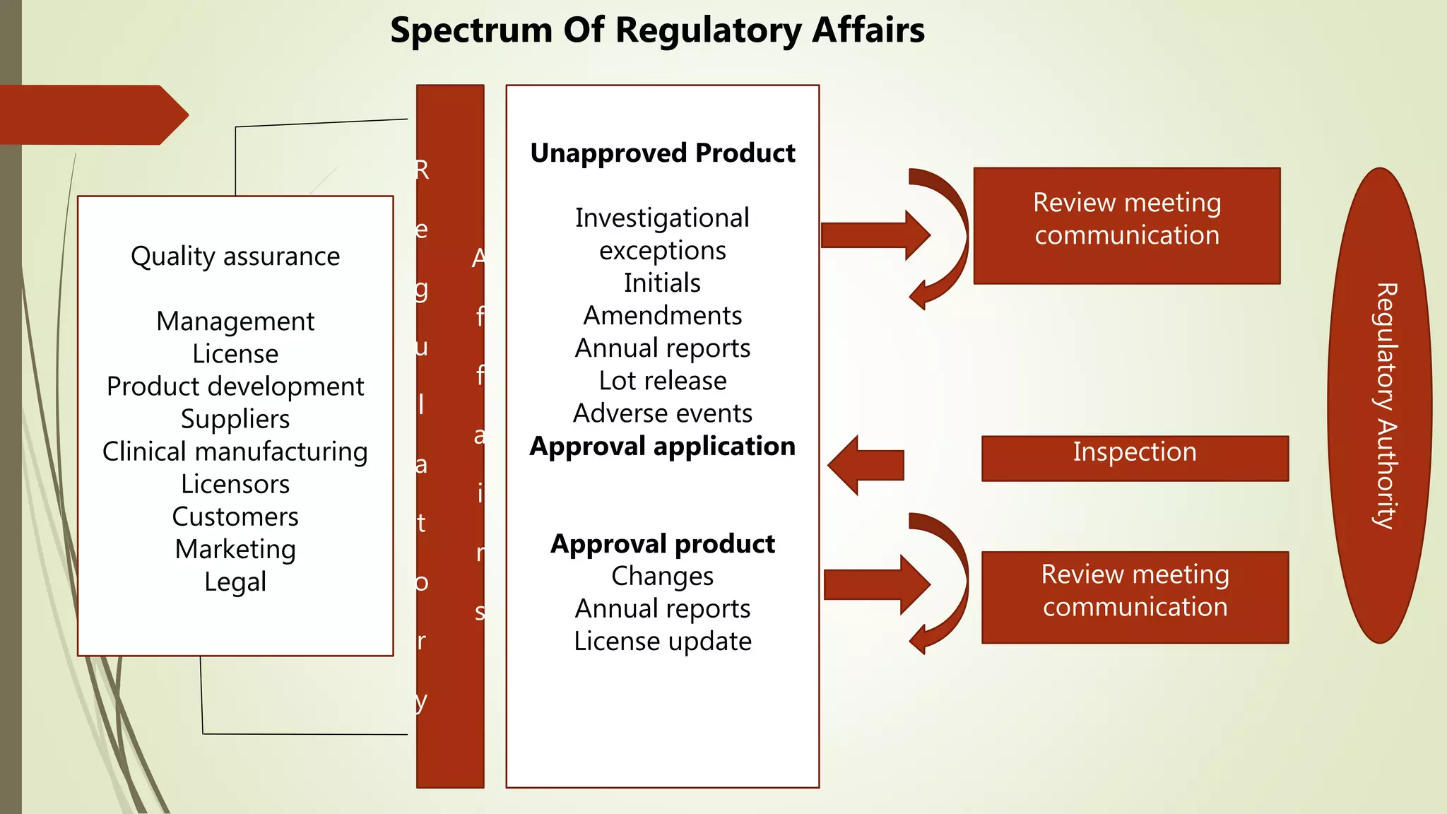 R
e
g
u
l
a
t
o
r
y
A
f
f
a
i
r
s
Unapproved Product
Investigational
exceptions
Initials
Amendments
Annual reports
Lot release
Adverse events
Approval application
Approval product
Changes
Annual reports
License update
Review meeting
communication
Inspection
Review meeting
communication
RegulatoryAuthority
Quality assurance
Management
License
Product development
Suppliers
Clinical manufacturing
Licensors
Customers
Marketing
Legal
Spectrum Of Regulatory Affairs
 