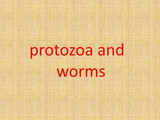 protozoa and
worms
 