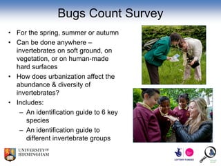 Bugs Count Survey
• For the spring, summer or autumn
• Can be done anywhere –
  invertebrates on soft ground, on
  vegetation, or on human-made
  hard surfaces
• How does urbanization affect the
  abundance & diversity of
  invertebrates?
• Includes:
   – An identification guide to 6 key
     species
   – An identification guide to
     different invertebrate groups
 