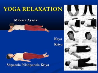 YOGA RELAXATIONYOGA RELAXATION
Makara AsanaMakara Asana
Shpanda Nishpanda KriyaShpanda Nishpanda Kriya
KayaKaya
KriyaKriya
 