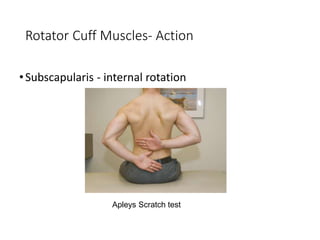 shoulder injuries.pptx