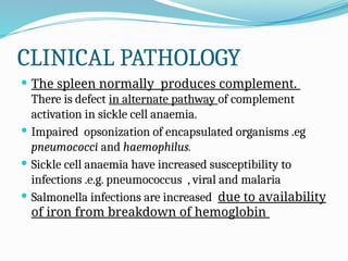 CLINICAL PATHOLOGY
 The spleen normally produces complement.
There is defect in alternate pathway of complement
activation in sickle cell anaemia.
 Impaired opsonization of encapsulated organisms .eg
pneumococci and haemophilus.
 Sickle cell anaemia have increased susceptibility to
infections .e.g. pneumococcus , viral and malaria
 Salmonella infections are increased due to availability
of iron from breakdown of hemoglobin
 