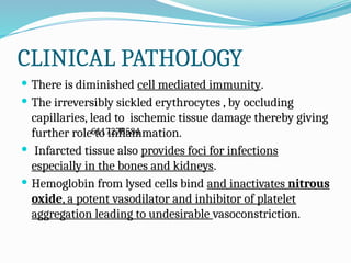 CLINICAL PATHOLOGY
 There is diminished cell mediated immunity.
 The irreversibly sickled erythrocytes , by occluding
capillaries, lead to ischemic tissue damage thereby giving
further role to inflammation.
 Infarcted tissue also provides foci for infections
especially in the bones and kidneys.
 Hemoglobin from lysed cells bind and inactivates nitrous
oxide, a potent vasodilator and inhibitor of platelet
aggregation leading to undesirable vasoconstriction.
6117278584
 