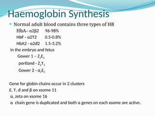 Haemoglobin Synthesis
 Normal adult blood contains three types of HB
HbA– α2β2 96-98%
HbF - α2ϒ2 0.5-0.8%
HbA2 - α2đ2 1.5-3.2%
in the embryo and fetus
Gower 1 – Z2Ɛ2
portland - Z2ϒ2
Gower 2 - α2Ɛ2
Gene for globin chains occur in 2 clusters
Ɛ, ϒ, đ and β on xsome 11
α, zeta on xsome 16
α chain gene is duplicated and both α genes on each xsome are active.
 