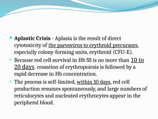  Aplastic Crisis - Aplasia is the result of direct
cytotoxicity of the parvovirus to erythroid precursors,
especially colony-forming units, erythroid (CFU-E).
• Because red cell survival in Hb SS is no more than 10 to
20 days, cessation of erythropoiesis is followed by a
rapid decrease in Hb concentration.
• The process is self-limited, within 10 days, red cell
production resumes spontaneously, and large numbers of
reticulocytes and nucleated erythrocytes appear in the
peripheral blood.
 