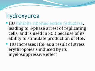hydroxyurea
 HU inhibits ribonucleotide reductase,
leading to S-phase arrest of replicating
cells, and is used in SCD because of its
ability to stimulate production of HbF.
 HU increases HbF as a result of stress
erythropoiesis induced by its
myelosuppressive effect
 