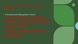 Anomalous Secondary Thickening In
Dracaena -
• In Dracaena secondary growth is due to -
a) Extrastelar cambial
ring in a monocots stem
at the cortex.
•b) Abnormal activity of
cambium.
 
