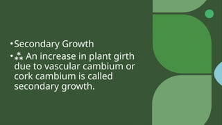 •Secondary Growth
• An increase in plant girth
due to vascular cambium or
cork cambium is called
secondary growth.
 