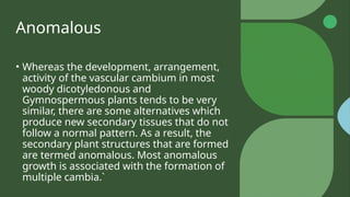 Anomalous
• Whereas the development, arrangement,
activity of the vascular cambium in most
woody dicotyledonous and
Gymnospermous plants tends to be very
similar, there are some alternatives which
produce new secondary tissues that do not
follow a normal pattern. As a result, the
secondary plant structures that are formed
are termed anomalous. Most anomalous
growth is associated with the formation of
multiple cambia.`
 