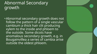Abnormal Secondary
growth
•Abnormal secondary growth does not
follow the pattern of a single vascular
cambium a thick hair clit producing
xylem to the inside and phloem to
the outside. Some dicots have
anomalous secondary growth, e.g. in
Bougainvillea a series of cambia arise
outside the oldest phloem.
 