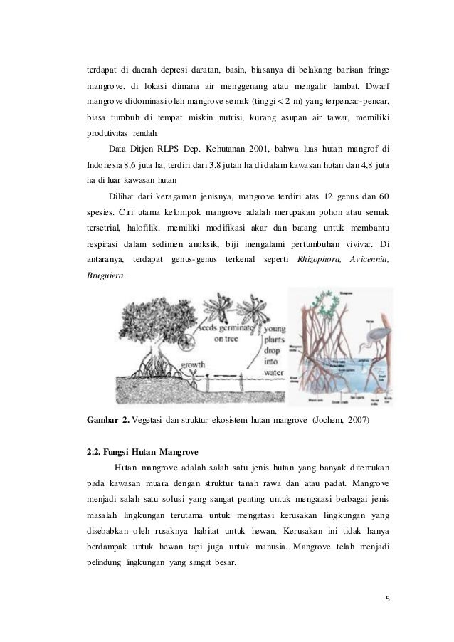 Dr Achmad Syamsu Makalah Fungsi Mangrove Permasalahan Dan Konsep Pen