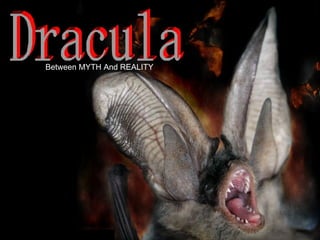 Dracula Between MYTH And REALITY 