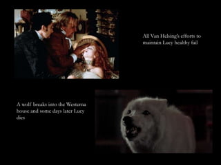 All Van Helsing’s efforts to
                                  maintain Lucy healthy fail




A wolf breaks into the Westerna
house and some days later Lucy
dies
 