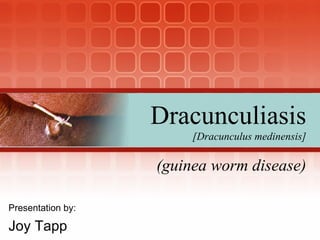 (guinea worm disease) Presentation by: Joy Tapp Dracunculiasis [Dracunculus medinensis] 