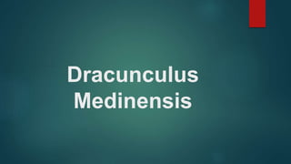 Dracunculus
Medinensis
 