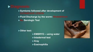 Diagnosis:
Symtoms followed after development of
CUTANEOUS LESION
Fluid Discharge by the worm- Rhabditiform
No Serologic Test
Other test:
EMBRYO – using water
Intadermal test
Xray
Eosinophilia
 