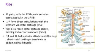 Diaphragm and chest wall anatomy with some clinical correlates | PPTX