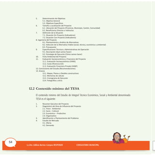 5. Determinación de Objetivos
5.1. Objetivo General
5.2. Objetivos Específicos
6. Tamaño y Localización del Proyecto
6.1. Ubicación del Proyecto (Provincia, Municipio, Cantón, Comunidad)
6.2. Beneficiarios Directos e Indirectos
7. Definición de la Situación
7.1. Situación Sin Proyecto (Indicadores)
7.2. Situación Con Proyecto (Indicadores)
8. Ingeniería del Proyecto
8.1. Planteamiento y Análisis de Alternativas
8.2. Selección de la Alternativa viable (social, técnica, económica y ambiental)
8.3. Presupuesto
9. Especificaciones Técnicas y Administrativas de Operación
9.1. Descripción (Qué vamos hacer)
9.2. Estrategia de Ejecución (Cómo vamos hacer)
10. Ficha Ambiental del Proyecto
11. Evaluación Socioeconómica y Financiera del Proyecto
11.1. Evaluación Socioeconómica (vANS)
11.2. Costo Eficiencia (CE)
11.3. Evaluación Financiera Privada (vANP)
12. Conclusiones del Estudio (Recomendaciones)
13. Anexos
13.1. Mapas, Planos o Detalles constructivos
13.2. Memorias de cálculo
13.3. Cronograma de Ejecución
13.4. Fotografías y otros
12.2 Contenido mínimo del TESA
El contenido mínimo del Estudio de Integral Técnico Económico, Social y Ambiental denominado
TESA es el siguiente:
1. Resumen Ejecutivo del Proyecto
2. Diagnóstico del Área de Influencia del Proyecto
2.1. Físico - Ambiental
2.2. Socio – Cultural
2.3. Económico – Productivo
2.4. Organizativo
3. Identificación y Planteamiento del Problema
4. Estudio de Mercado
4.1. Oferta
4.2. Demanda
54
 