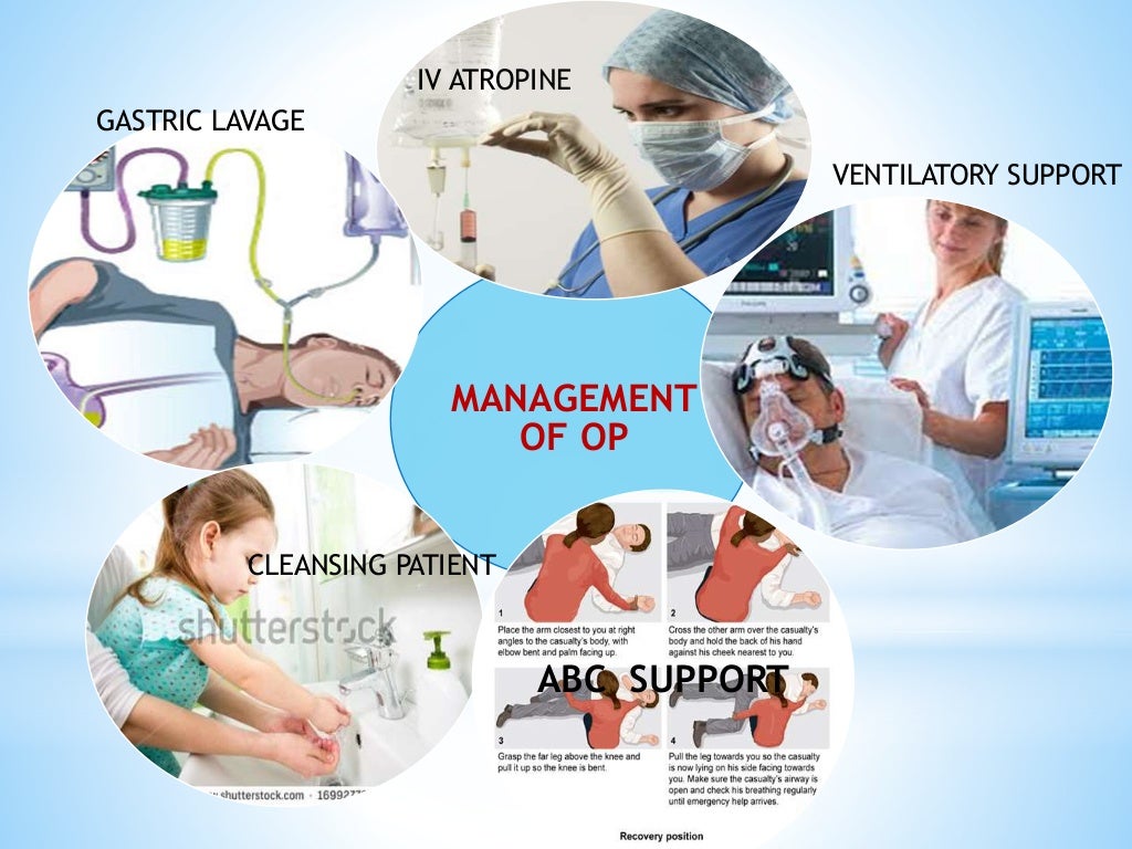 antidote for organophosphate poisoning antidote for organophosphate poisoning