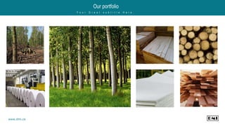 Our portfolio
Y o u r G r e a t s u b t i t l e H e r e .
www.dmi.ca
 