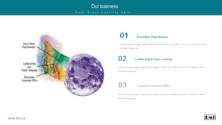 PeaceRiver PulpDivision
Crasquisurnaquisauguesagittisultricesaliquamsit amet erat.Nullaac lacusarcu. Curabiturat mauris
nonliberofeugiatultr.
01
Crasquisurnaquisauguesagittisultricesaliquamsit amet erat.Nullaac lacusarcu. Curabiturat mauris
nonliberofeugiatultr.
02
Vancouver CorporateOffice
Crasquisurnaquisauguesagittisultricesaliquamsit amet erat.Nullaac lacusarcu. Curabiturat mauris
nonliberofeugiatultr.
03
Cariboopulp& PaperCompany
Our business
Y o u r G r e a t s u b t i t l e H e r e .
www.dmi.ca
 