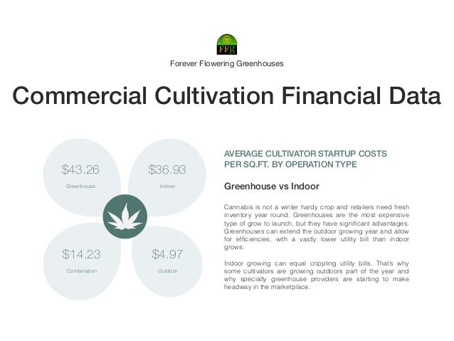 Business plan ffg picture