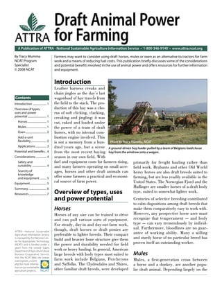 Draft Animal Power
ATTRA for Farming
   A Publication of ATTRA - National Sustainable Agriculture Information Service • 1-800-346-9140 • www.attra.ncat.org

By Tracy Mumma                              Farmers may want to consider using draft horses, mules or oxen as an alternative to tractors for farm
NCAT Program                                work and a means of reducing fuel costs. This publication brieﬂy discusses some of the considerations
Specialist                                  and potential beneﬁts involved in the use of animal power and offers resources for further information
© 2008 NCAT                                 and equipment.


                                            Introduction
                                            Leather harness creaks and
                                            chain jingles as the day’s last
Contents                                    wagonload of hay travels from
Introduction .................... 1         the ﬁeld to the stack. The pro-
Overview of types,                          duction of this hay was a cho-
uses and power                              rus of soft clicking, clacking,
potential ............................ 1    creaking and jingling: it was
   Horses ............................ 1    cut, raked and loaded under
   Mules.............................. 1    the power of a team of draft
   Oxen ............................... 2   horses, with no internal com-
   Add-a-unit                               bustion engine involved. This
   ﬂexibility ....................... 2     is not a memory from a hun- Photo by Tracy Mumma, NCAT
   Applications ................ 3          dred years ago, but a scene A ground-driven hay loader pulled by a team of Belgians loads loose
Potential and beneﬁts .. 4                  from the most recent haying hay from the windrow onto a wagon.
Considerations ................ 4           season in our own ﬁeld. With
   Safety and                               fuel and equipment costs for farmers rising, primarily for freight hauling rather than
   suitability ..................... 4      and many farmers operating on small acre- ﬁeld work. Brabants and other Old World
   Scarcity of                              ages, horses and other draft animals can heavy horses are also draft breeds suited to
   knowledge
   and equipment .......... 5               offer some farmers a practical and economi- farming, but are less readily available in the
Equipment ........................ 5
                                            cal source of farm power.                    United States. The Norwegian Fjord and the
Summary ........................... 6
                                                                                         Haﬂinger are smaller horses of a draft body
Resources .......................... 7      Overview of types, uses                      type, suited to somewhat lighter work.
                                            and power potential                                 Centuries of selective breeding contributed
                                                                                                to calm dispositions among draft breeds that
                                            Horses                                              make them comparatively easy to work with.
                                            Horses of any size can be trained to drive          However, any prospective horse user must
                                            and can pull various sorts of equipment.            recognize that temperament — and body
                                            For steady, day-in and day-out farm work,           type — can vary tremendously by individ-
                                            though, draft horses or draft ponies are            ual. Furthermore, bloodlines are no guar-
ATTRA—National Sustainable
Agriculture Information Service             preferable to lighter breeds. Their compact         antee of working ability. Many a willing
is managed by the National Cen-
                                            build and heavier bone structure give them          and sturdy horse of no particular breed has
ter for Appropriate Technology
(NCAT) and is funded under a                the power and durability needed for ﬁeld            proven itself an outstanding worker.
grant from the United States
Department of Agriculture’s Rural
                                            work or heavy hauling. In general, American
Business-Cooperative Service.               large breeds with body types most suited to         Mules
Visit the NCAT Web site (www.
ncat.org/sarc_current.                      farm work include Belgians, Percherons              Mules, a first-generation cross between
php) for more informa-                      and Suffolks. The Clydesdales and Shires,           a horse and a donkey, are another popu-
tion on our sustainable
agriculture projects.                       other familiar draft breeds, were developed         lar draft animal. Depending largely on the
 