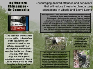 Encouraging desired attitudes and behaviors
that will reduce threats to chimpanzee
populations in Liberia and Sierra Leone
My Western
Chimpanzee -
My Communit y
Working in Sierra Leone and Liberia, an Entertainment-Education
radio serial drama was created under the My Western
Chimpanzee – My Community program. Weaving together
relevant information on this species with a compelling story
modeling desired attitudes and behaviors the program aims to
reduce threats to Western Chimpanzees and their environment.
This means reducing the hunting and killing of chimpanzees and
the destruction of their forest habitat. Ultimately, the goal is to
stop the decline in chimpanzee numbers and contribute to the
conditions necessary for a population recovery.
―The case for chimpanzee
conservation is based on
both economic self-
interest as well as an
ethical perspective on
sharing this world with a
species that is our closest
relative. With this
program, we hope to
empower people in Sierra
Leone and Liberia to first
imagine a future of co-
existence with
The program will create a 16 to 24
episode radio serial drama with local
language translations/adaptations as
well as two radio magazines. Two
community action campaigns will also
be held. The audience will include the
communities living near chimpanzee
and government agencies responsible
for chimpanzee and forest conservation.
It is estimated that at
least 25,000
chimpanzees have
disappeared in the
affected region during
the last 60 years.
 