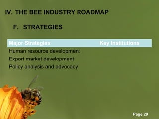 Page 29
IV. THE BEE INDUSTRY ROADMAP
F. STRATEGIES
Major Strategies Key Institutions
Human resource development
Export market development
Policy analysis and advocacy
 