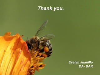 Page 32
Thank you.
Evelyn Juanillo
DA- BAR
 