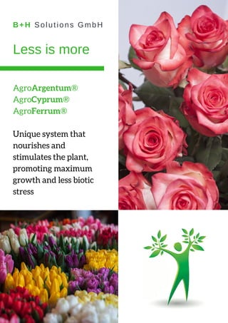 Less is more
AgroArgentum®
AgroCyprum®
AgroFerrum®
Unique system that
nourishes and
stimulates the plant,
promoting maximum
growth and less biotic
stress
B+H Solutions GmbH
 