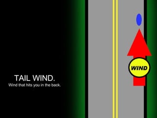 TAIL WIND. Wind that hits you in the back. 