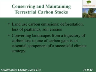 Conserving and Maintaining Terrestrial Carbon Stocks Land use carbon emissions: deforestation, loss of peatlands, soil erosion Converting landscapes from a trajectory of carbon loss to one of carbon gain is an essential component of a successful climate strategy. 