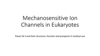 Mechanosensitive Ion
Channels in Eukaryotes
Piezo1 & 2 and their structure, function and prospects in medical use
 