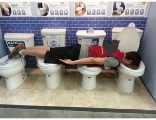 Social Engineering public administration 2020