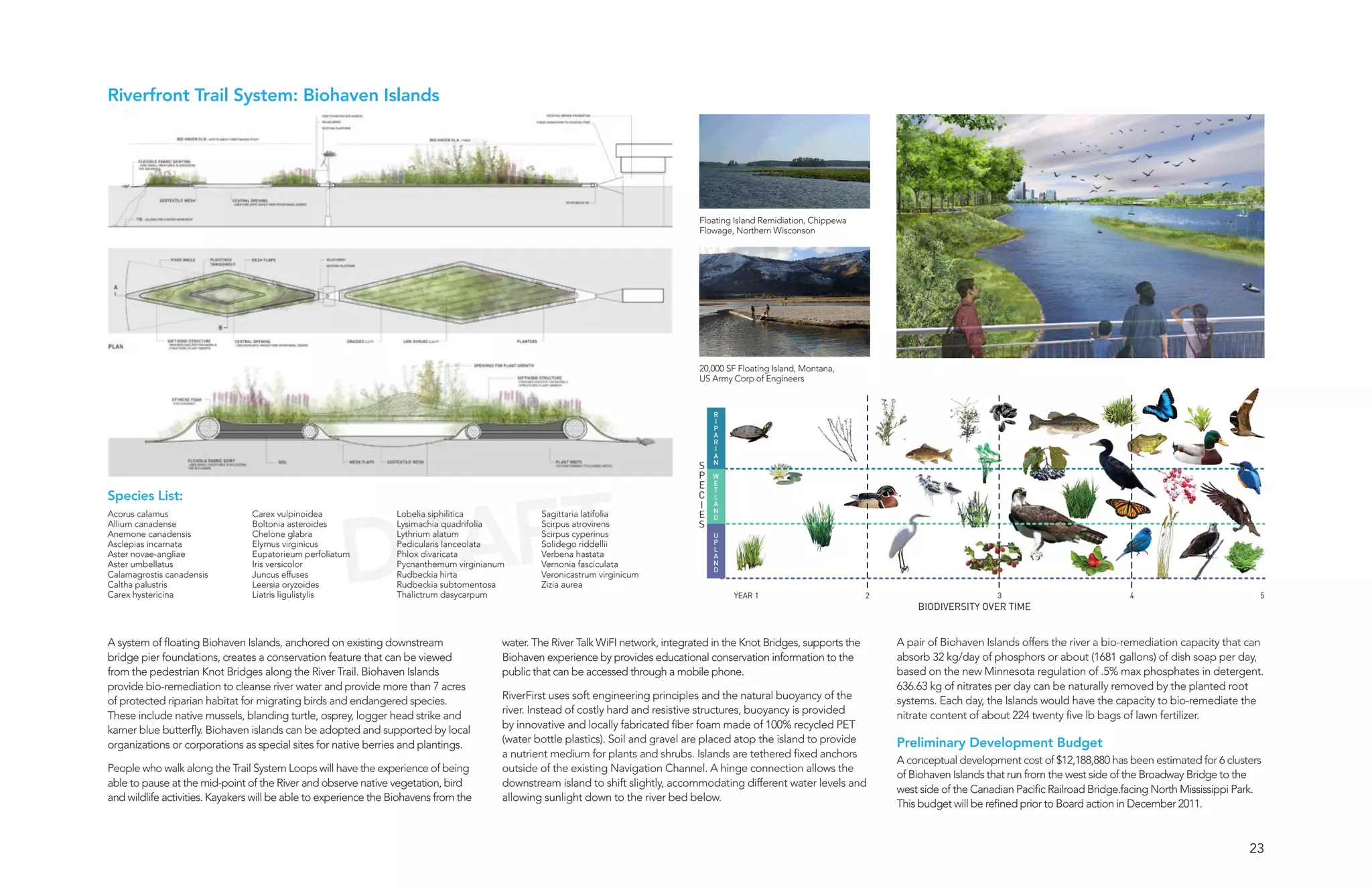 Riverfront Trail System: Biohaven Islands




                                                                                                                                    Floating Island Remidiation, Chippewa
                                                                                                                                    Flowage, Northern Wisconson




                                                                                                                                    20,000 SF Floating Island, Montana,
                                                                                                                                    US Army Corp of Engineers


                                                                                                                                       R
                                                                                                                                       I
                                                                                                                                       P
                                                                                                                                       A
                                                                                                                                       R
                                                                                                                                       I
                                                                                                                                       A
                                                                                                                                       N
                                                                                                                                   S
                                                                                                                                   P   W




                                                       AFT
                                                                                                                                   E   E
                                                                                                                                       T
Species List:                                                                                                                      C   L




                                                     DR
                                                                                                                                   I   A
                                                                                                                                       N
Acorus calamus                  Carex vulpinoidea                Lobelia siphilitica            Sagittaria latifolia               E   D
Allium canadense                Boltonia asteroides              Lysimachia quadrifolia         Scirpus atrovirens                 S
Anemone canadensis              Chelone glabra                   Lythrium alatum                Scirpus cyperinus                      U
Asclepias incarnata             Elymus virginicus                Pedicularis lanceolata         Solidego riddellii                     P
                                                                                                                                       L
Aster novae-angliae             Eupatorieum perfoliatum          Phlox divaricata               Verbena hastata                        A
Aster umbellatus                Iris versicolor                  Pycnanthemum virginianum       Vernonia fasciculata                   N
                                                                                                                                       D
Calamagrostis canadensis        Juncus effuses                   Rudbeckia hirta                Veronicastrum virginicum
Caltha palustris                Leersia oryzoides                Rudbeckia subtomentosa         Zizia aurea
Carex hystericina               Liatris ligulistylis             Thalictrum dasycarpum                                                      YEAR 1                          2                         3                            4                           5
                                                                                                                                                                                    BIODIVERSITY OVER TIME


A system of floating Biohaven Islands, anchored on existing downstream                  water. The River Talk WiFI network, integrated in the Knot Bridges, supports the        A pair of Biohaven Islands offers the river a bio-remediation capacity that can
bridge pier foundations, creates a conservation feature that can be viewed              Biohaven experience by provides educational conservation information to the             absorb 32 kg/day of phosphors or about (1681 gallons) of dish soap per day,
from the pedestrian Knot Bridges along the River Trail. Biohaven Islands                public that can be accessed through a mobile phone.                                     based on the new Minnesota regulation of .5% max phosphates in detergent.
provide bio-remediation to cleanse river water and provide more than 7 acres                                                                                                    636.63 kg of nitrates per day can be naturally removed by the planted root
                                                                                        RiverFirst uses soft engineering principles and the natural buoyancy of the             systems. Each day, the Islands would have the capacity to bio-remediate the
of protected riparian habitat for migrating birds and endangered species.
                                                                                        river. Instead of costly hard and resistive structures, buoyancy is provided            nitrate content of about 224 twenty five lb bags of lawn fertilizer.
These include native mussels, blanding turtle, osprey, logger head strike and
                                                                                        by innovative and locally fabricated fiber foam made of 100% recycled PET
karner blue butterfly. Biohaven islands can be adopted and supported by local
                                                                                        (water bottle plastics). Soil and gravel are placed atop the island to provide          Preliminary Development Budget
organizations or corporations as special sites for native berries and plantings.
                                                                                        a nutrient medium for plants and shrubs. Islands are tethered fixed anchors
                                                                                                                                                                                A conceptual development cost of $12,188,880 has been estimated for 6 clusters
People who walk along the Trail System Loops will have the experience of being          outside of the existing Navigation Channel. A hinge connection allows the
                                                                                                                                                                                of Biohaven Islands that run from the west side of the Broadway Bridge to the
able to pause at the mid-point of the River and observe native vegetation, bird         downstream island to shift slightly, accommodating different water levels and
                                                                                                                                                                                west side of the Canadian Pacific Railroad Bridge.facing North Mississippi Park.
and wildlife activities. Kayakers will be able to experience the Biohavens from the     allowing sunlight down to the river bed below.
                                                                                                                                                                                This budget will be refined prior to Board action in December 2011.



                                                                                                                                                                                                                                                             23
 