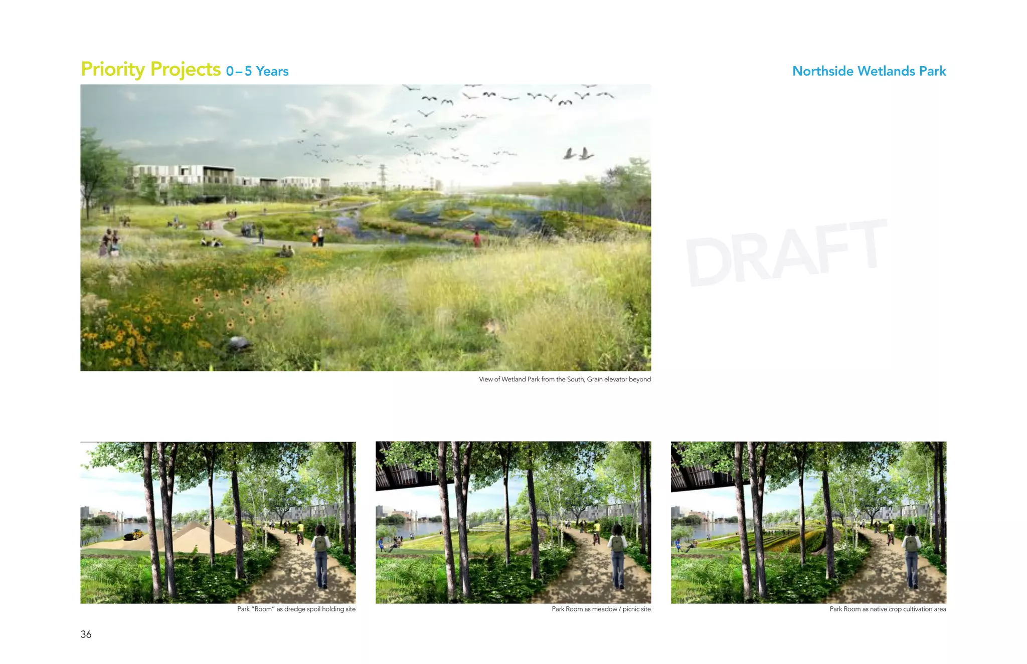 Priority Projects 0 – 5 Years                                                                                                  Northside Wetlands Park




                                                                                                                             DRAFT
                                                                View of Wetland Park from the South, Grain elevator beyond




                     Park “Room” as dredge spoil holding site                           Park Room as meadow / picnic site           Park Room as native crop cultivation area


36
 