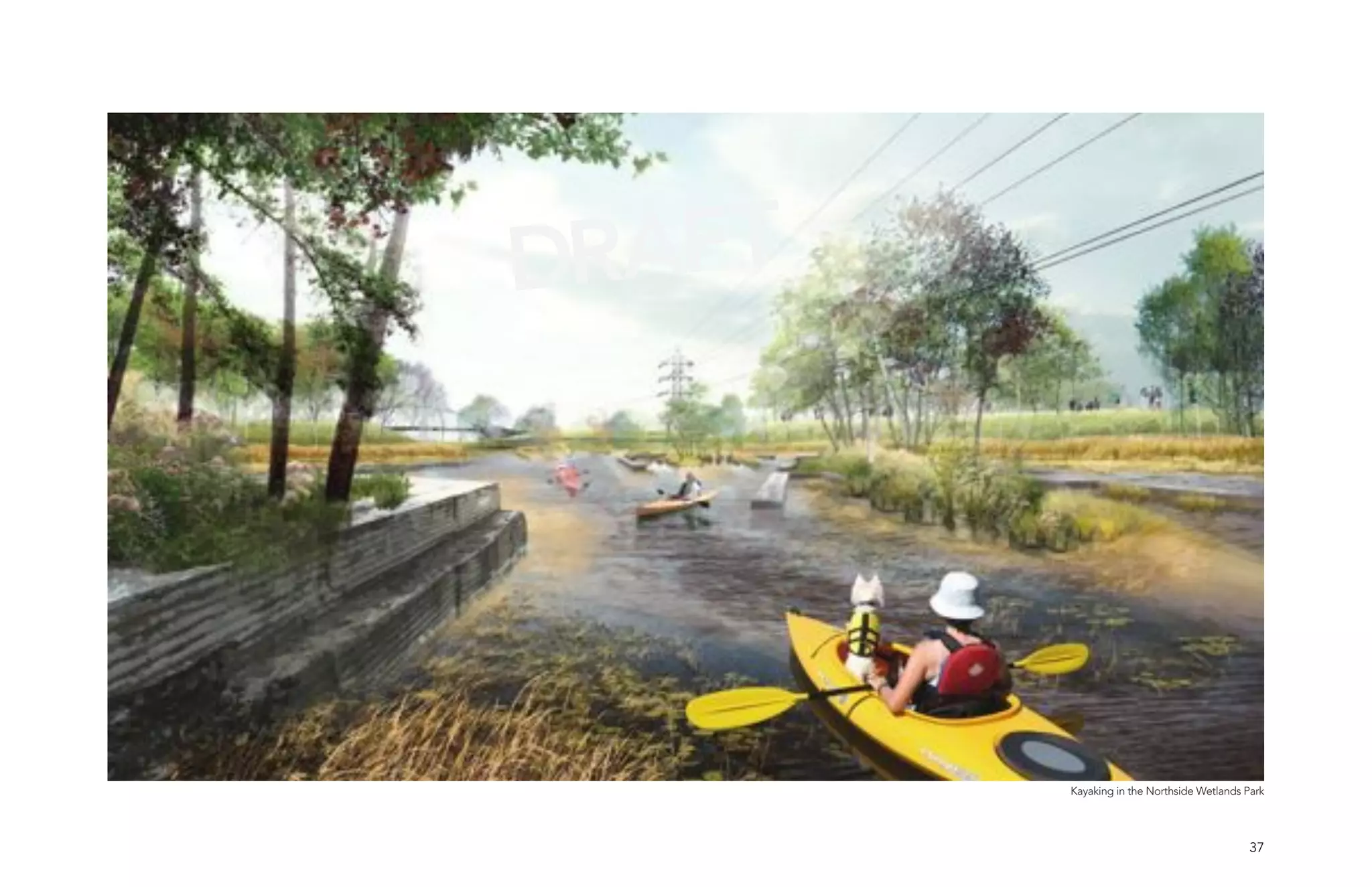 DRAFT




        Kayaking in the Northside Wetlands Park




                                           37
 