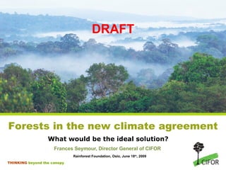 DRAFT What would be the ideal solution? ,[object Object],[object Object],Forests in the new climate agreement 