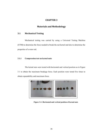 Palm Kernel Production of Nut Cracking Efficiency | PDF