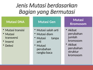 Comprehensive Overview of Genetic Mutations and DNA Repair Mechanisms ...